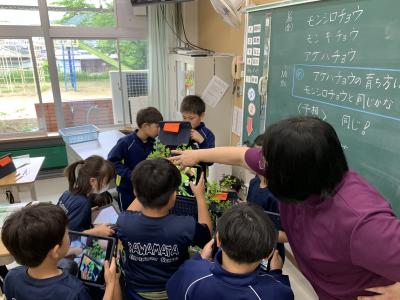 学校