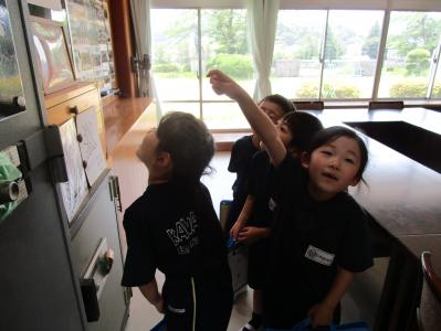 学校