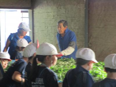 学校