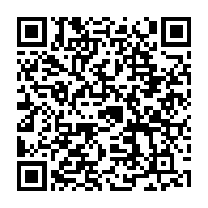 白澤見学バスツアーQRコード