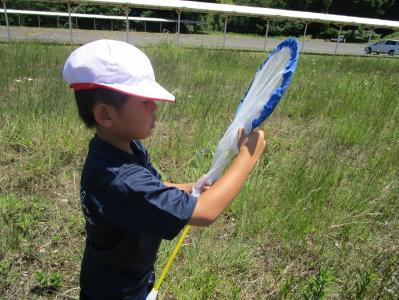 学校