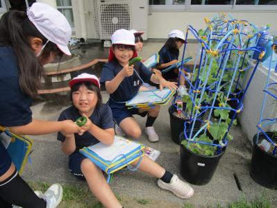 学校