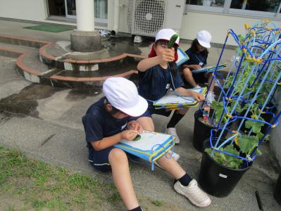 学校
