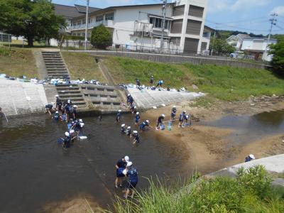 水質や生きものを調査する5年生