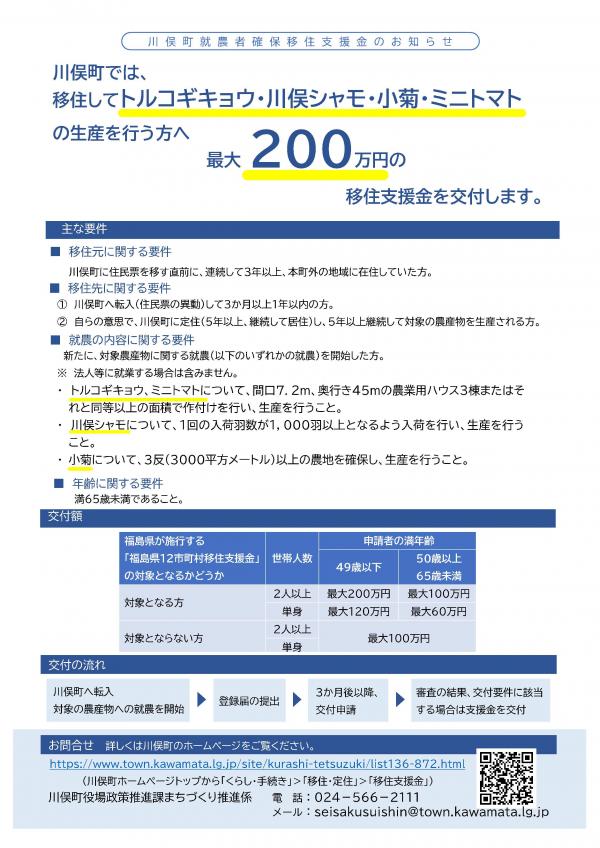チラシ