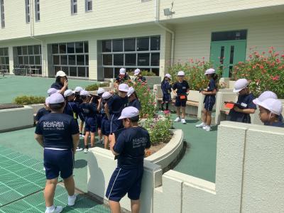学校