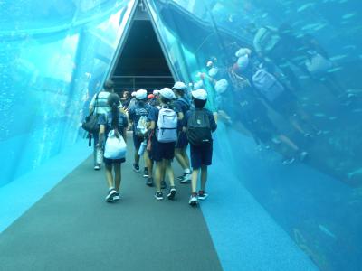 水族館を散策する５年生