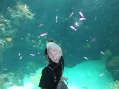 水族館で魚を見る５年生