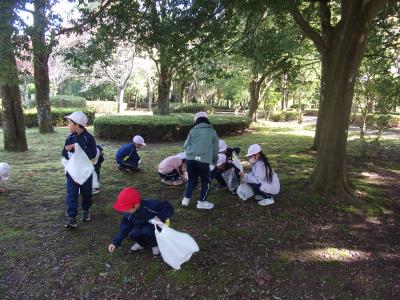 どんぐりをひろう1年生