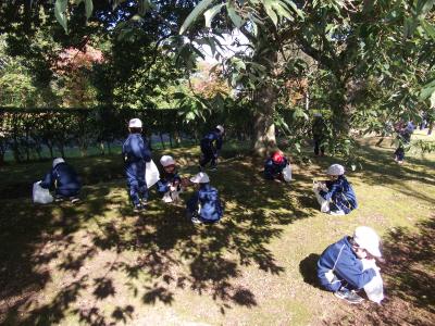 どんぐりをひろう1年生