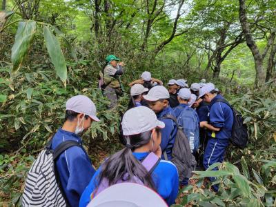 野地温泉周辺の山でフィールドワークをする5年生