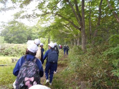 野地温泉周辺の山でフィールドワークをする5年生２