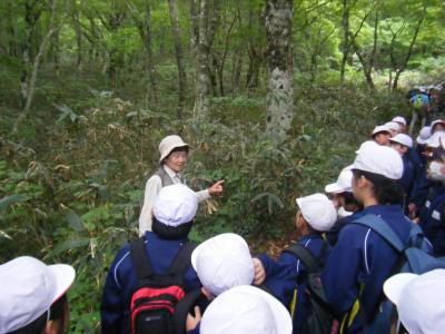 森の案内人さんの話を聞く5年生