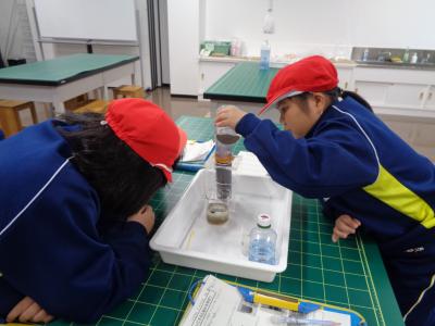 濾過の実験をする5年生