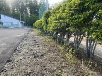 校庭の周り