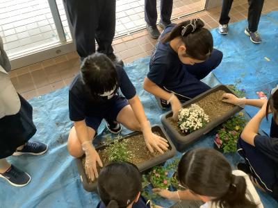 プランターに花上をする児童