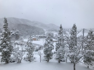雪景色