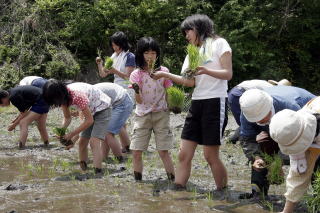 田植えの写真