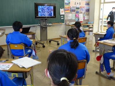 テレビ