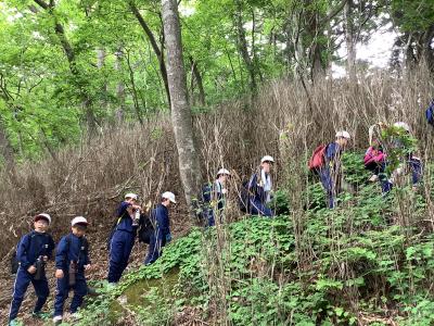 里山登山４年